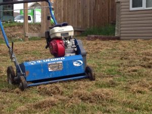 Lawn Power Raking Dethatching