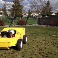 What to do after aeration