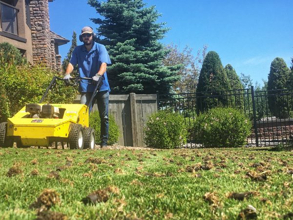 what is core aeration