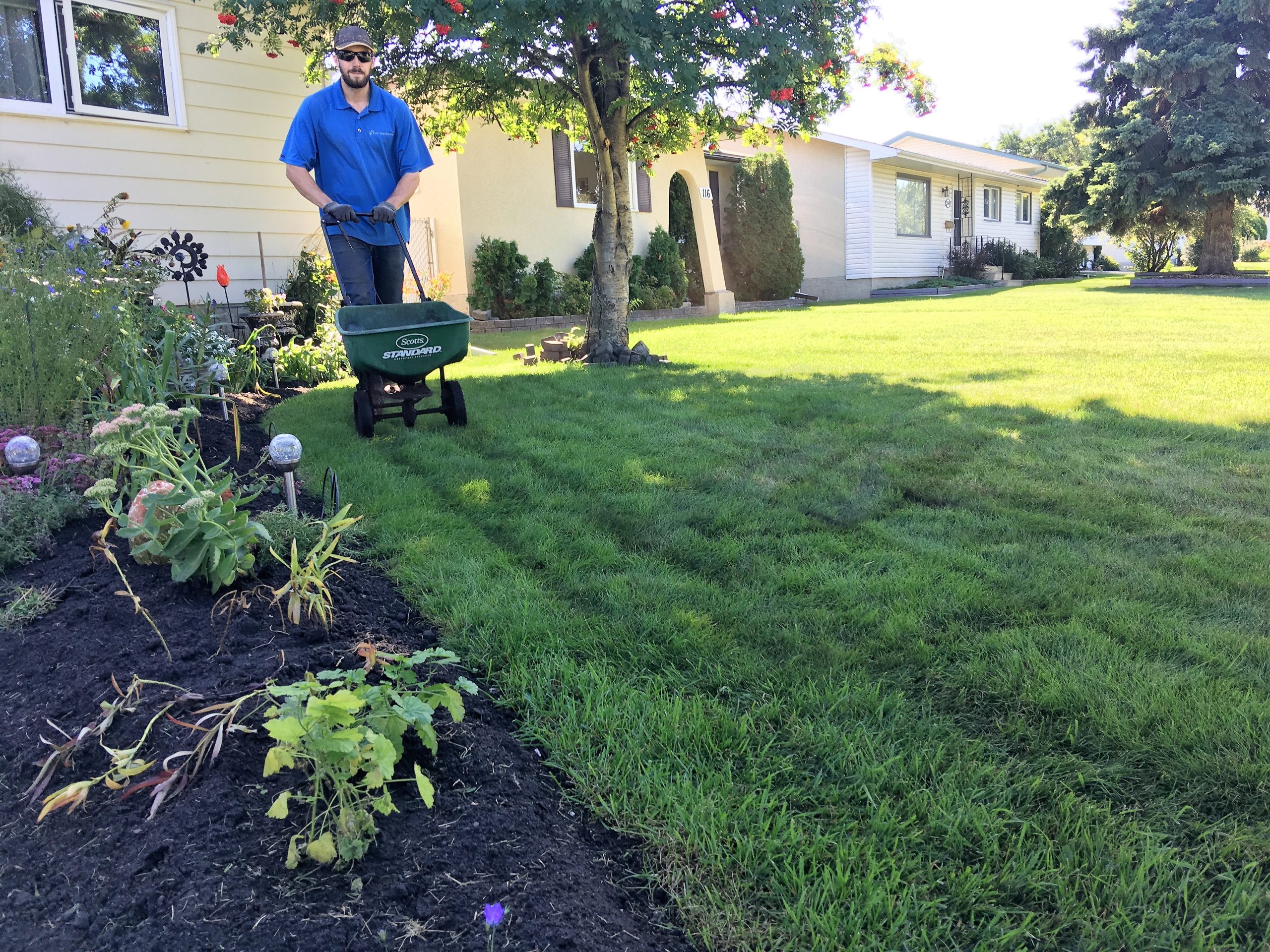 The Benefits of Using a Hybrid Fertilizer on Your Lawn