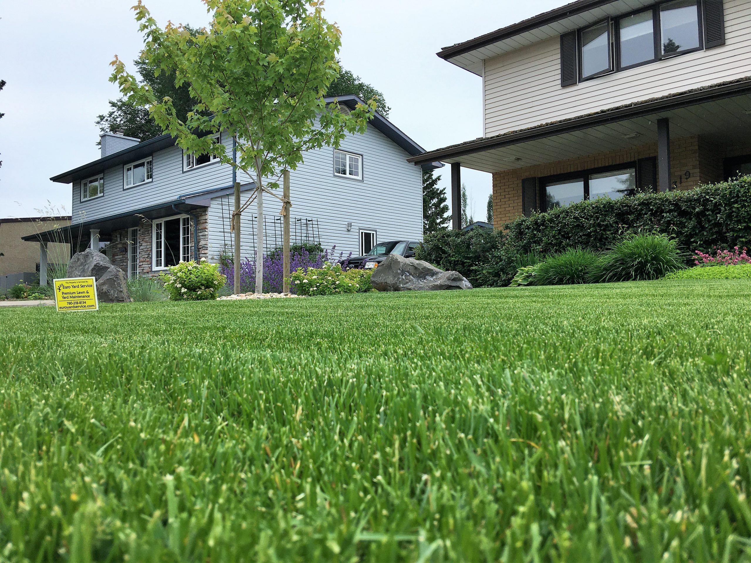 can I do a spring yard cleanup myself