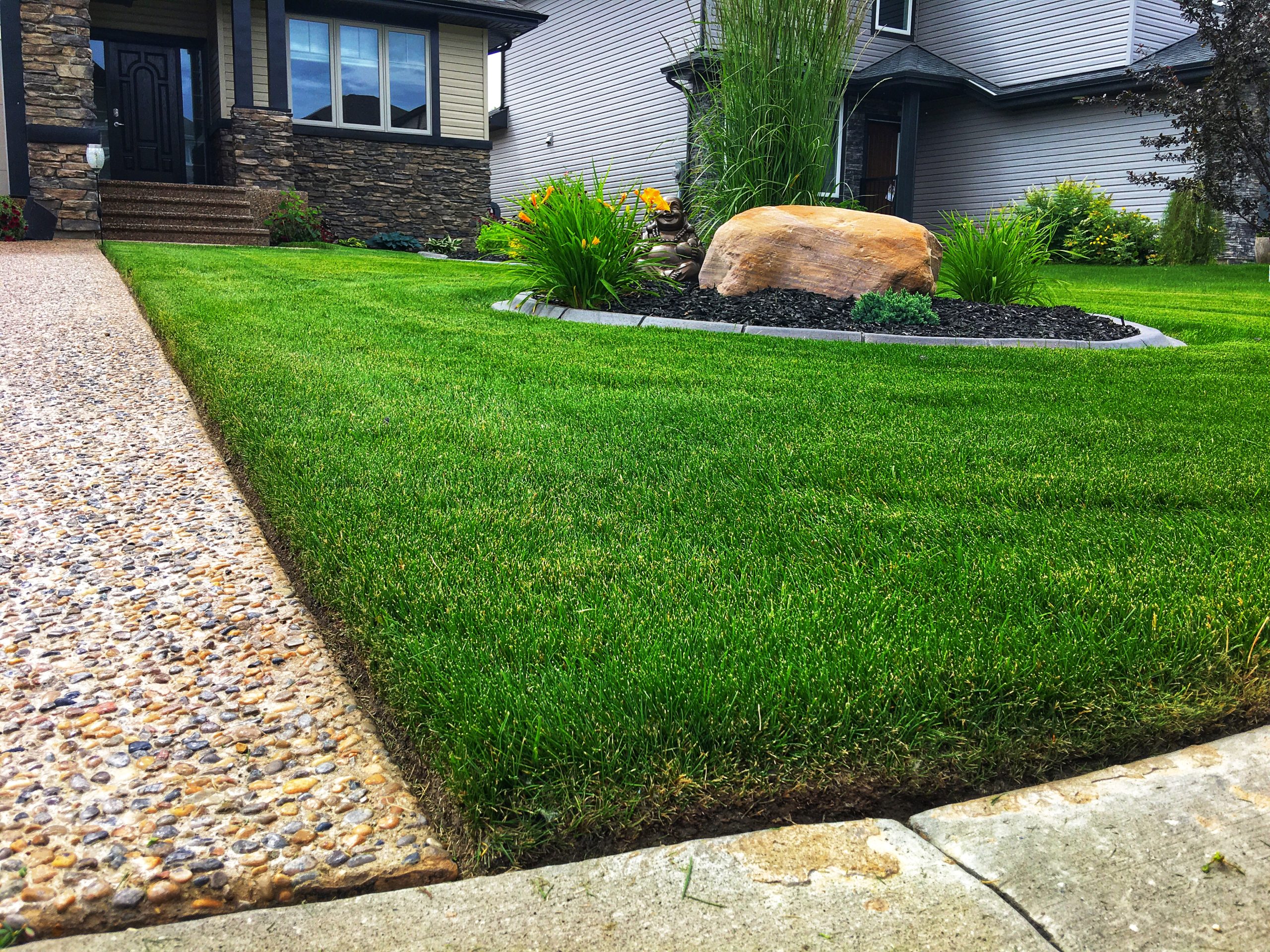 How to Prepare Your Lawn for Summer