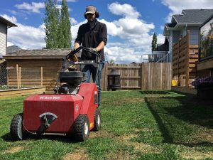 Lawn Mowing Service